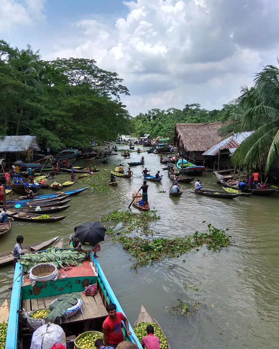 Floating guava market on a canal near Barishal