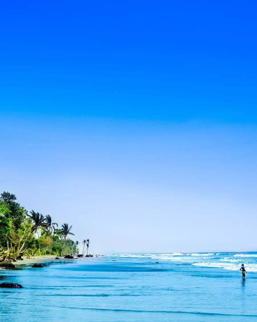 Palm trees and open sand at Kuakata beach
