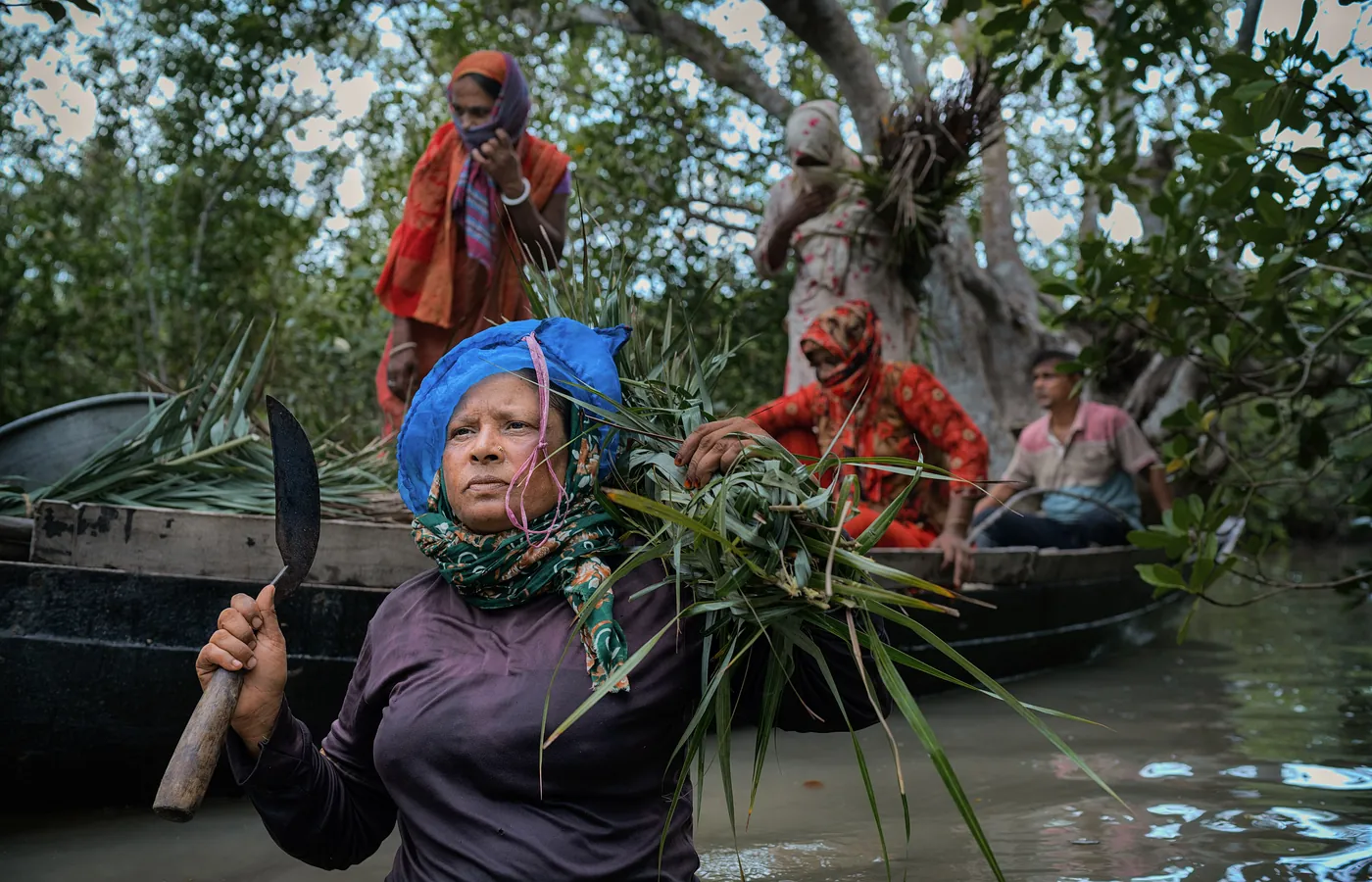 Honey collectors on a boat at the edge of the mangroves
