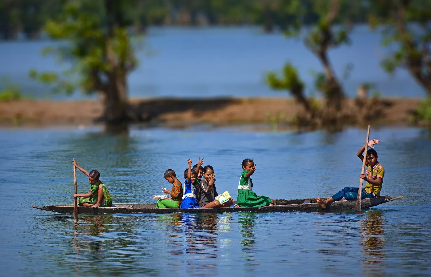 Rowing boat under the canopy at Ratargul
