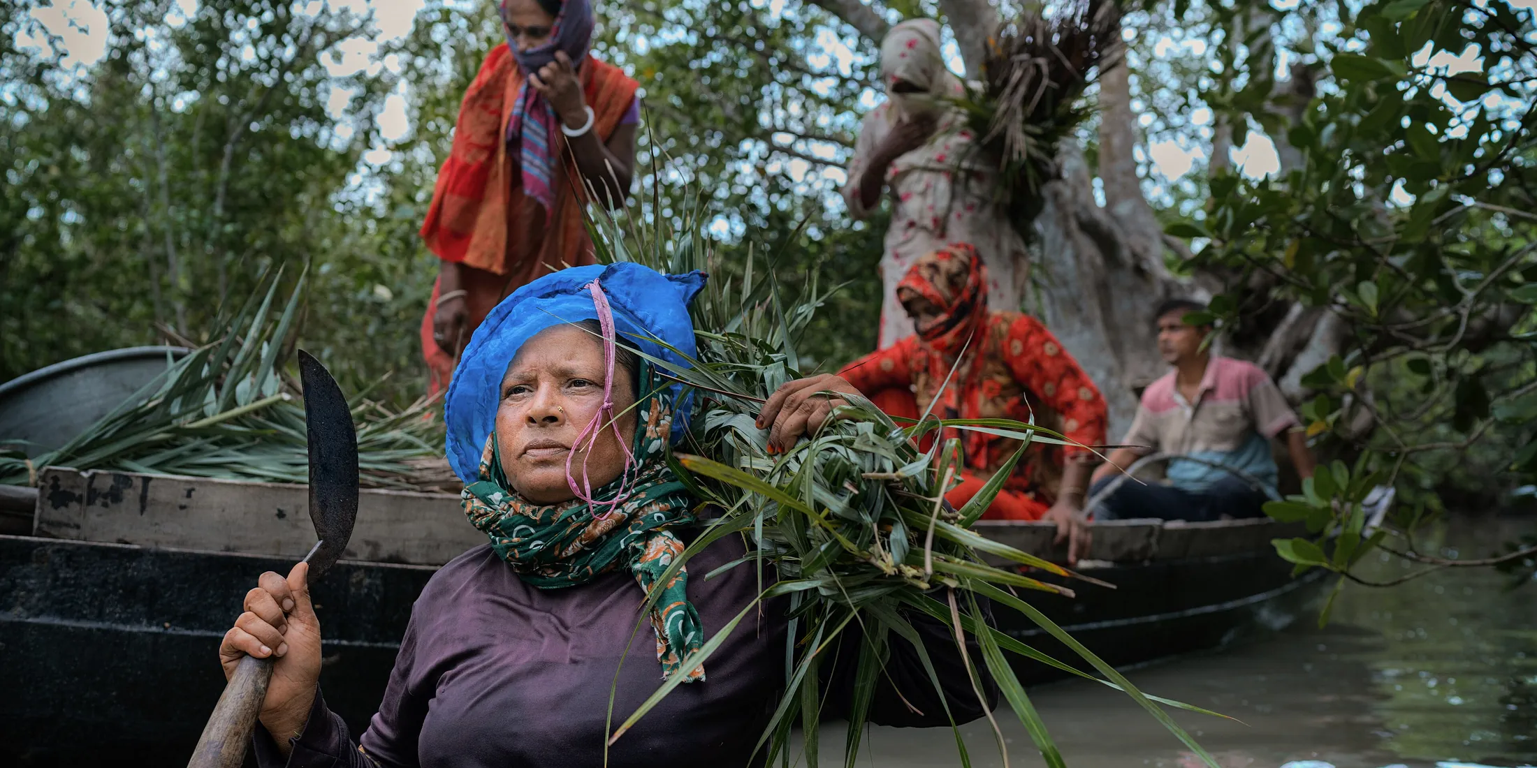 Honey collectors setting out into the mangroves