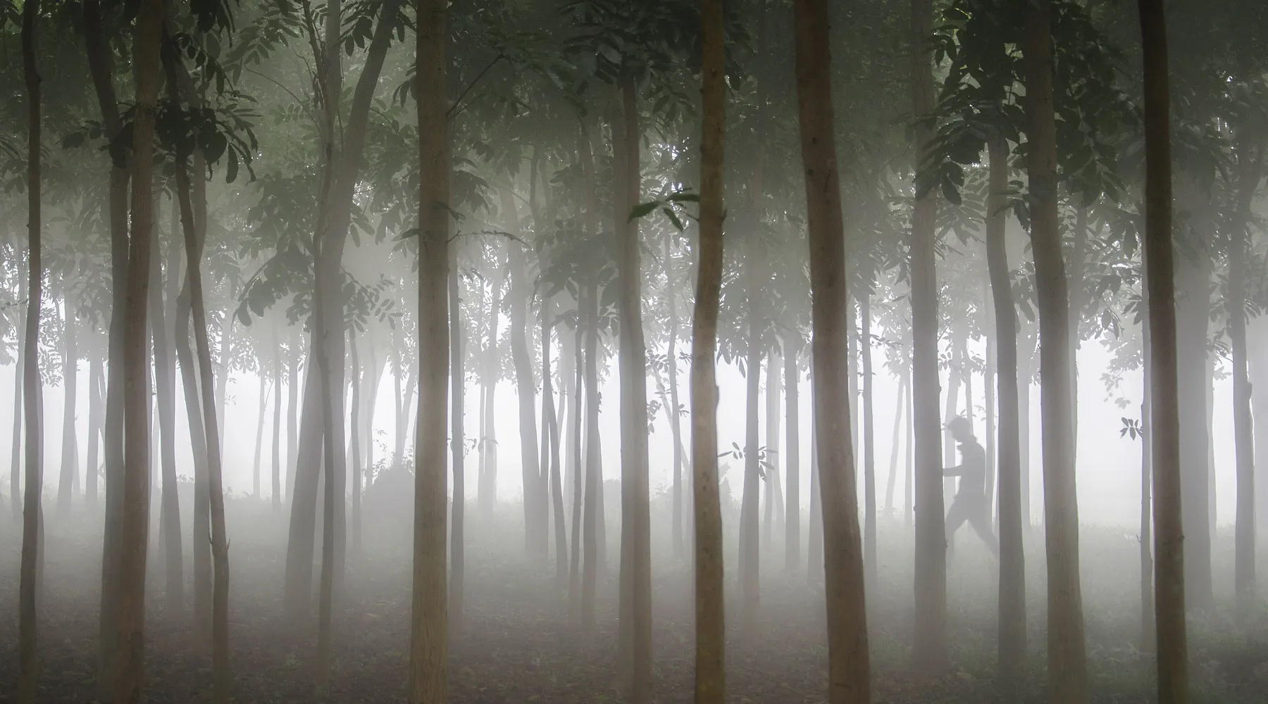 Winter in Bangladesh