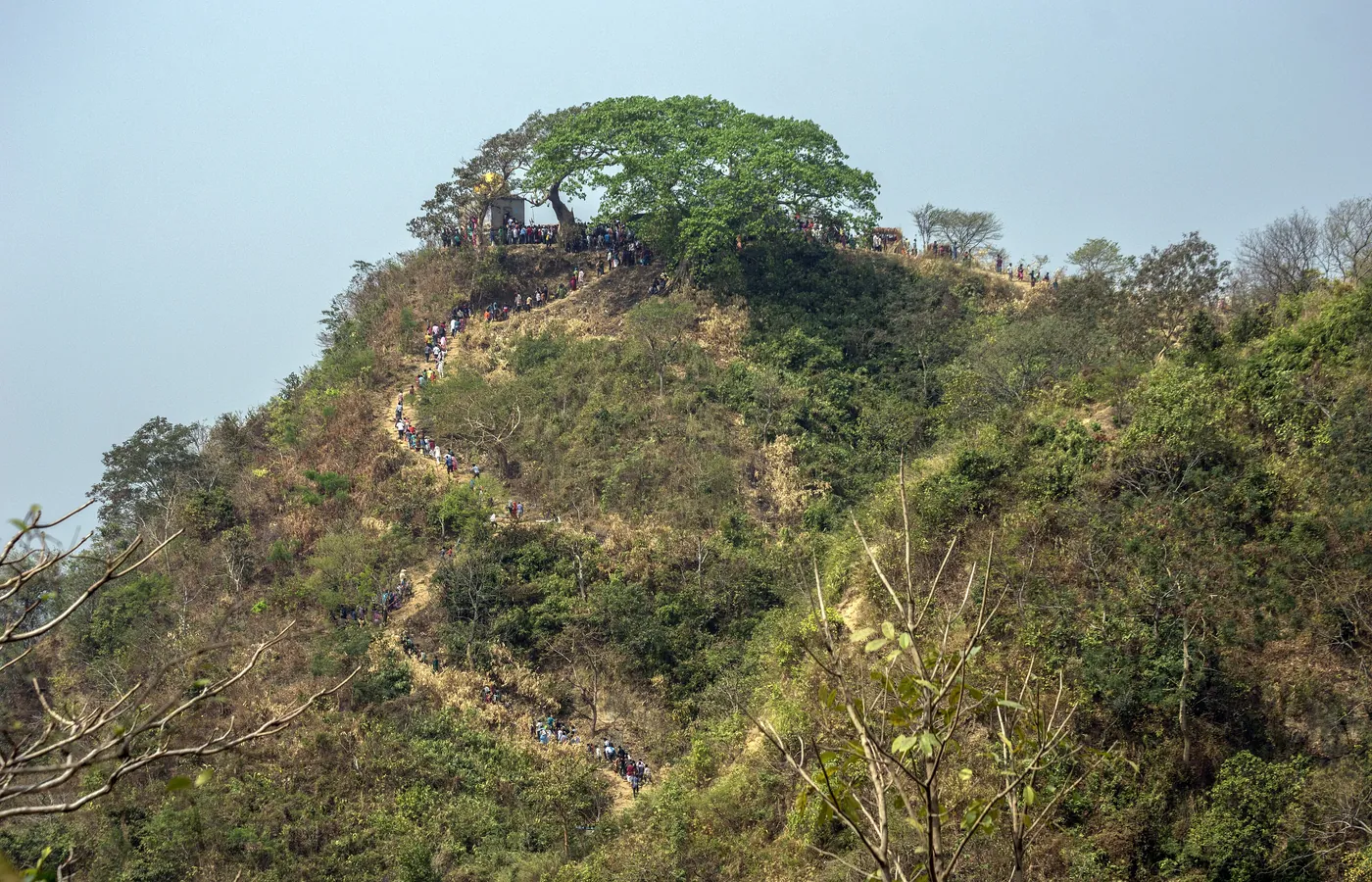 A green hill with a temple on the summit