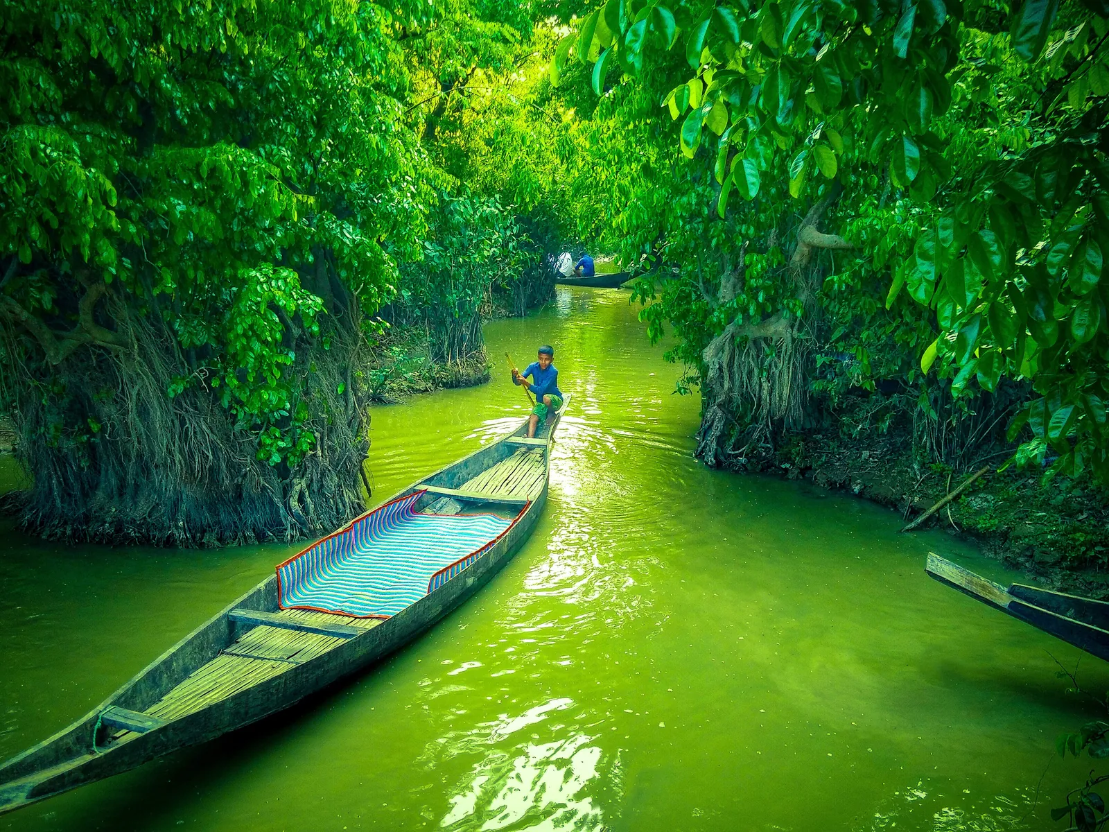 A boat in a green tunnel of trees in the Ratargul swamp forest